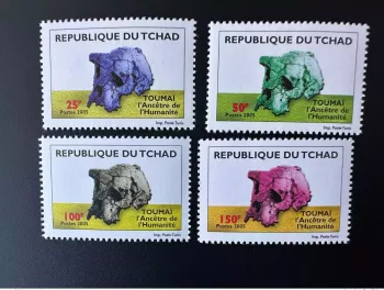 Tschad 2005 Mi. 2510-2513 Toumaï der Vorfahre der Menschheit