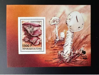 Tchad 1995 Mi. Bl. 244A Champignons Mushrooms Pilze Jamboree Scouts Hollande