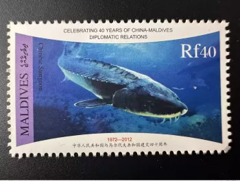 Maldives 2012 / 2013 Mi. 4841 Diplomatic Relations China 40 years Sturgeon