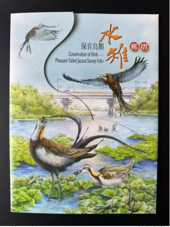 Taiwan China 2017 Conservation des Oiseaux Faisans hydrophasianus chirurgus