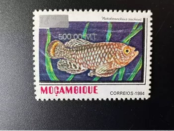 Mozambique 1997/2000 Mi. 1552 Fish Notobranchius rachovii overloaded
