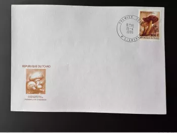 Tchad 1996 Mi. 1270 800 F FDC 1er jour Champignons Mushrooms Pilze Scoutisme