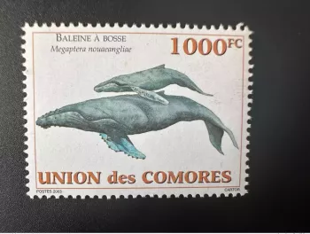 Comores 2003 Mi. 1794 Baleine à bosse Whale Megaptera nouaeangline Faune Marine
