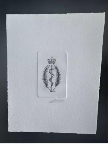 Belgien 1991 COB 2416 Künstlerprobe FDC Schlange Medizin Brüssel