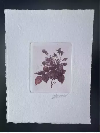 Belgium 1989 COB 2319 Artist's proof FDC Fleur Rose Bengal Redouté