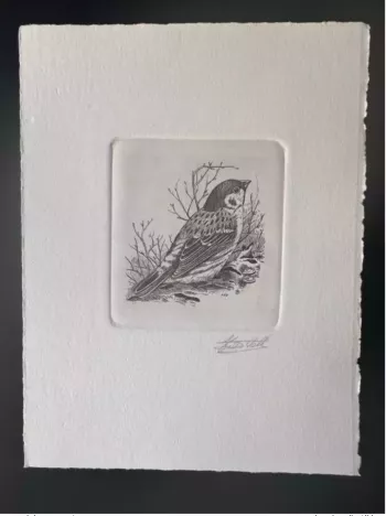 Belgique 1989 COB 2347 Epreuve d'artiste FDC Oiseau André Buzin Moineau friquet