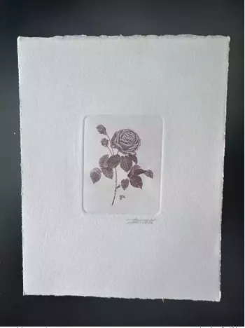 Belgique 1990 COB 2374 Epreuve d'artiste FDC Fleur Rose Adélaïde Redouté