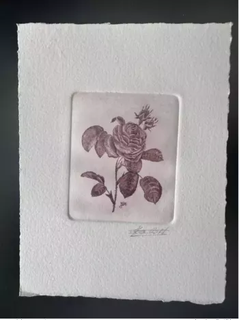 Belgium? COB? Artist's proof 1st day FDC Fleur Rose Pierre-Joseph RedoutéII