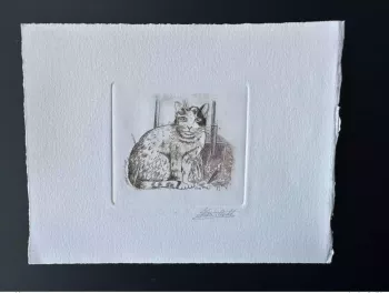 Belgium 1993 COB 2524 Artist proof 1st day FDC Cat Carnet MH brown
