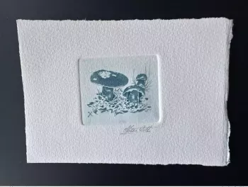 Belgique 1991 COB 2420 Epreuve d'artiste FDC Champignon Funghi Bolet bleu