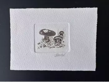 Belgique 1991 COB 2420 Epreuve d'artiste FDC Champignon Funghi Bolet rouge brun