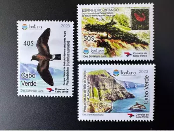 Cabo Verde 2023 Mi. ? Parque Natural Bafa Inferno Monte Angra  Oiseau Dauphin