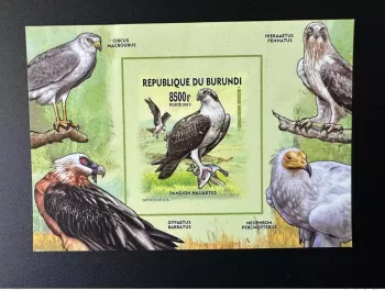 Burundi 2015/2016 Mi. Bl. B566 B ND IMPERF Zugvögel Vögel Raubvögel