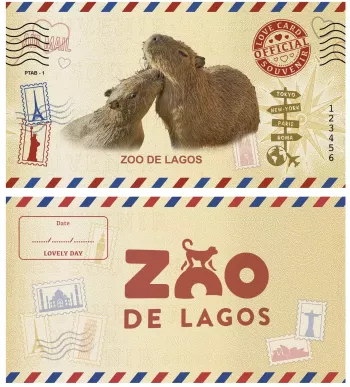 Love Card Zoo de Lagos