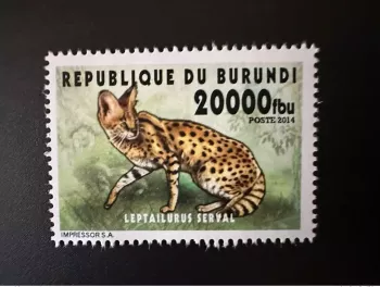 Burundi 2014 Mi.? Wild Cat Katze Wildlife Fauna Local Values RARE
