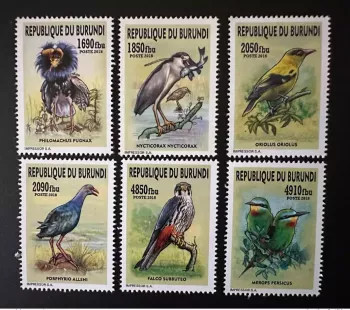 Burundi 2018 (dated 2018!!) Me.? Migratory birds Prey Vogel local