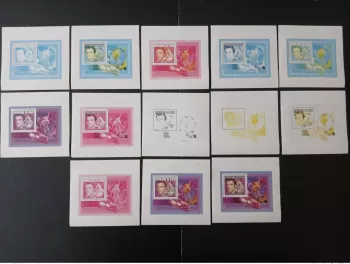 Niger 1996 Mi. 1197 (Bl). color tests Elvis Presley Cadillac flamingo