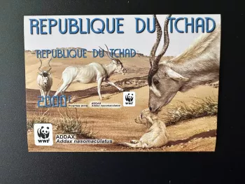 Chad Tschad 2012 Mi. Bl. 465 IMPERF WWF Fauna Addax Panda