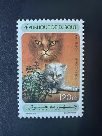 Djibouti Dschibuti 1998 Mi. 667 Cat Tree Katze Felin Fauna Rare