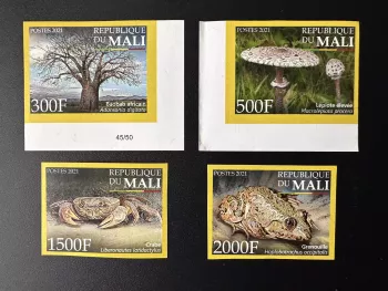 Mali 2021 Mi. ? ND Biodiversität Fauna Pilz Frosch Baobab