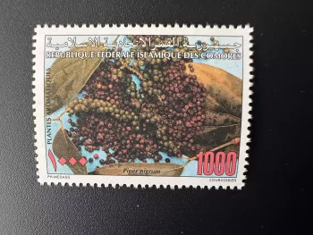 Comores Comoros Komoren 1997 Mi. 1161 Plantes aromatiques Piper nigrum
