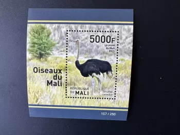 Mali 2022 Mi. Bl.? Birds Vögel Ostrich Strauß