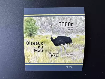 Mali 2022 Mi. Bl.? IMPERF Birds Vögel Ostrich Strauß