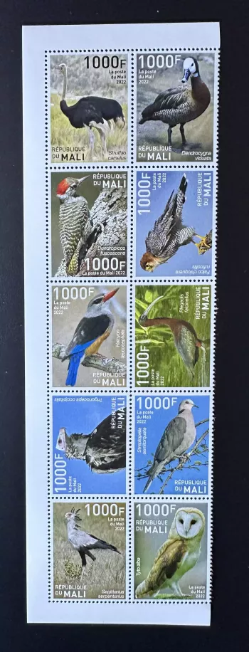 Mali 2022 Mi.? Birds Ostrich Duck Raptor Eagle Owl