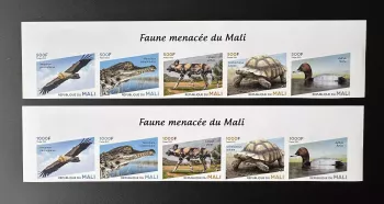 Mali 2023 ND Gefährdete Fauna Vogel Ente Schildkröte Krokodil Greifvogel
