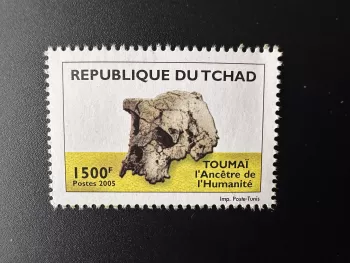 Tschad 2005 Mi. 2514 Toumaï der Vorfahre der Menschheit