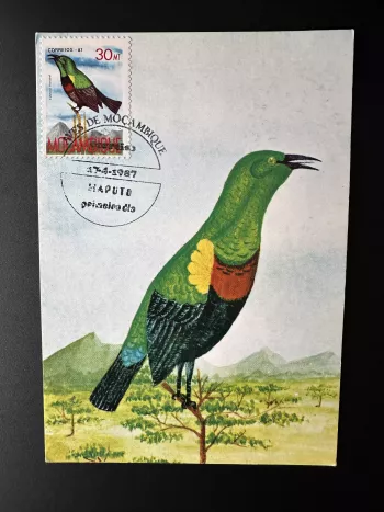 Mozambique 1987 Mi. 1093 card maximum stationery postal bird ave Cimmyris