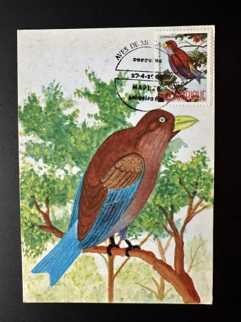 Mozambique 1987 Mi. 1092 card maximum stationery postal bird ave Coracias