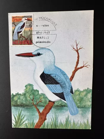 Mosambik 1987 Mi. 1089 Maximumkarte Ganzsache Vogel Halcyon