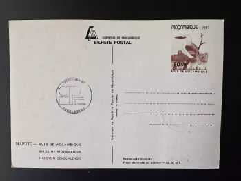 Mozambique 1987 Mi. 1089 card maximum stationery postal bird ave Halcyon