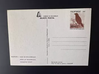 Mozambique 1987 Mi. 1091 card maximum stationery postal bird ave Pirenestes