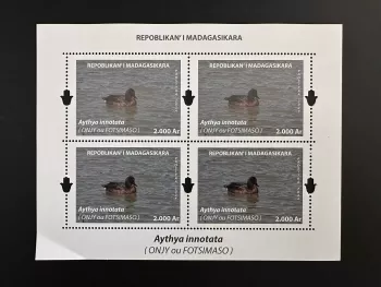 Madagascar 2024/2025 Mi. Bl.? S/S Canard Duck bird Aythya innotata