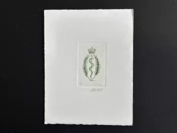Belgique 1991 COB 2416 Epreuve d'artiste FDC Serpent  médecine Bruxelles vert
