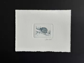 Belgien 1996 COB 2632 Künstlerprobe Insekt Marienkäfer blau
