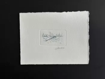 Belgien 1996 COB 2632 Künstlerprobe FDC Insekt Libelle blau
