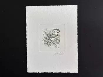 Belgique 1999 COB 2804 Epreuve artiste jour FDC Oiseau André Buzin Mésange vert