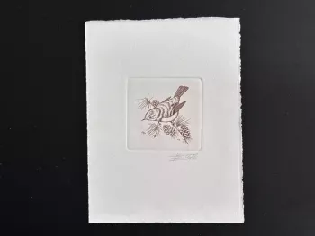 Belgique 1991 COB 2424 Epreuve artiste FDC Bird André Buzin Roitelet huppé rouge