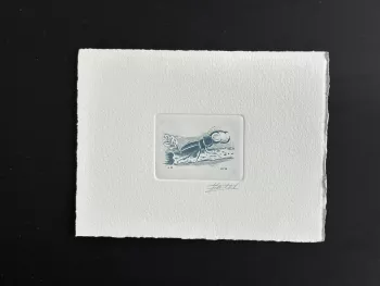 Belgique 1996 COB 2632 Epreuve d'artiste Insect Insecte Lucane cerf-volant bleu