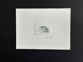 Belgique 1996 COB 2633 Epreuve d'artiste FDC Insect Insecte Hanneton Käfer bleu