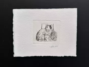 Belgium 1993 COB 2524 Artist proof FDC Cat Katze Carnet Booklet MH