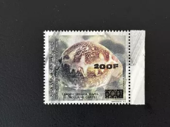 Comores 1996 Mi. 1152 200F / 500F surchargé porcelaine carte mollusque Shellfish