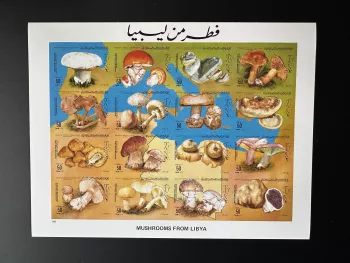 Libye 1985 Mi. 1554 - 1569 ND Champignons Flore Mycologie Nature