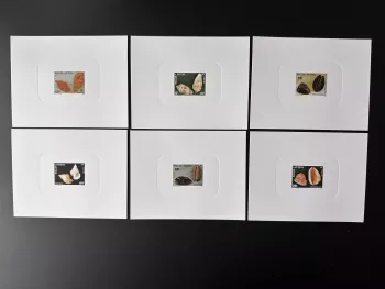 Wallis et Futuna 1987 YT 360-365 épreuve de luxe Coquillages Mollusques Conques