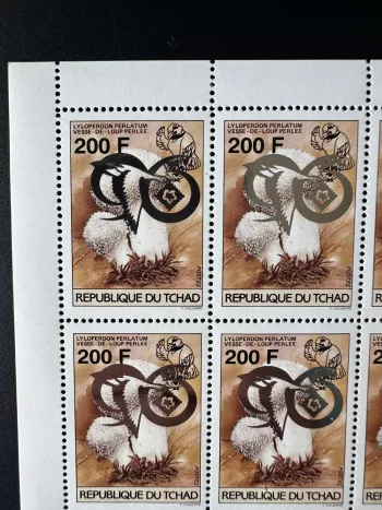 Tchad 1996 Mi 1267 planche Taipei surchargé RENVERSE champignons oiseau