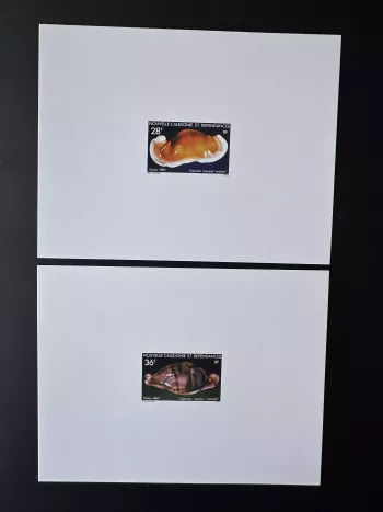 New Caledonia 1987 YT 538-539 luxury proof Cypronax Marine Shells