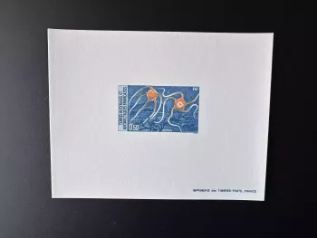 TAAF 1987 YT 122 Luxusprobe Antarktische Schlangensterne Echinoderm
